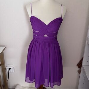 Purple Cocktail dress Haley Logan’s by Adrianna Papell